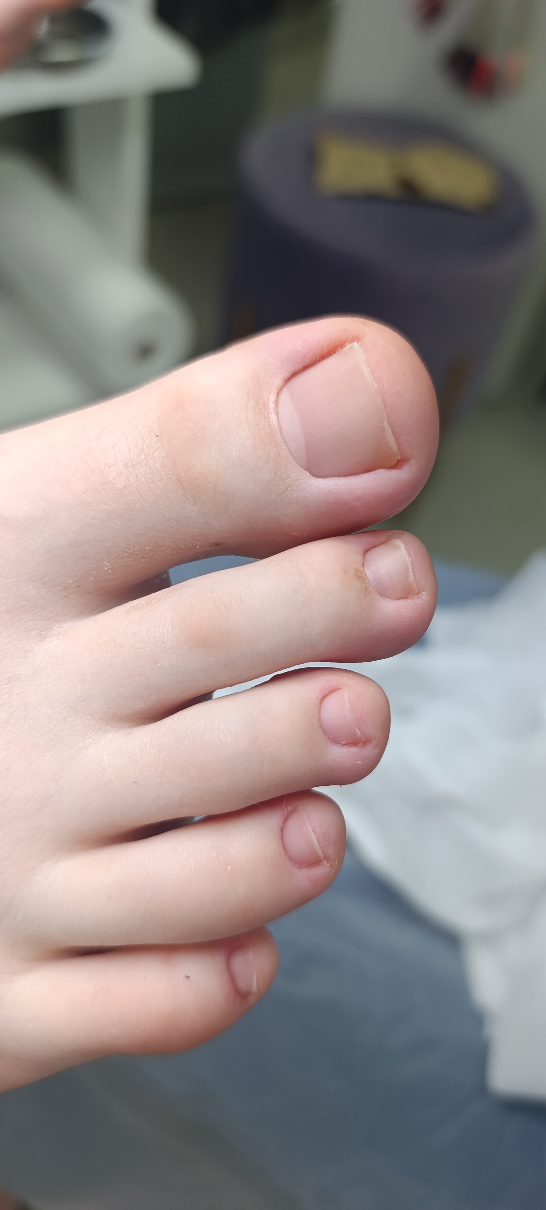 1000244266.jpg